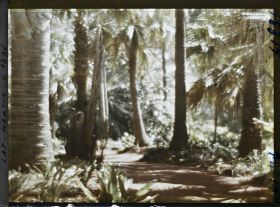 Image représentant le Jardin