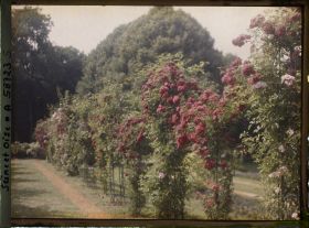 Image représentant Propriété de madame Douine