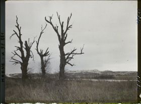 Image représentant France, La Pompelle, Le fort face Ouest