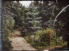 Image représentant Allée de la forêt bleue bordée de plates-bandes fleuries