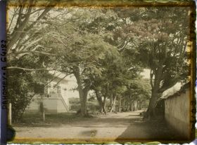 Image représentant La route de Sakété