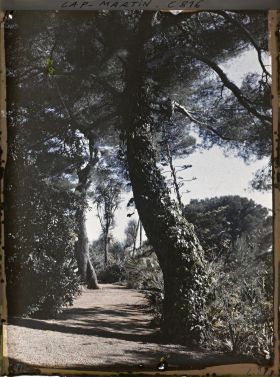 Image représentant Une allée du jardin