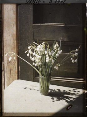 Image représentant Bouquet de muguet sur la table d'une ferme