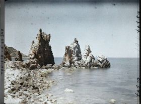 Image représentant Les aiguilles sur le rivage