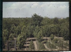 Image représentant France, Marly le Roi, Vue d'ensemble sur les Champs prise de la gare de Marly le Roi vers la Seine