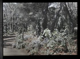 Image représentant le Jardin