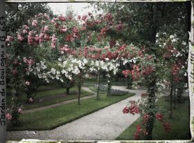 Image représentant Coin sud-ouest du verger-roseraie vu depuis le deuxième carrefour situé avant la dépendance
