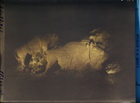 Image représentant La grotte du Tuc d'Audoubert : les bisons