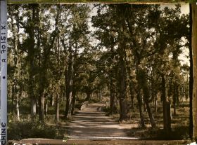 Image représentant Konglin, la nécropole de la famille de Confucius