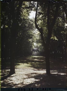 Image représentant France, Compiègne, Allée du Kiosque à musique