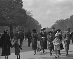 Image représentant L'avenue du Bois de Boulogne