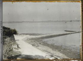 Image représentant Des varechs de part et d'autre de la jetée ; à gauche, des pieds d'ajoncs
