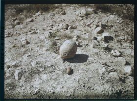 Image représentant France, Les Eparges, Un obusier non éclaté