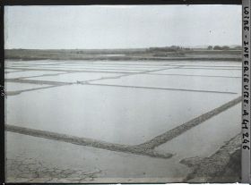 Image représentant Les marais salants