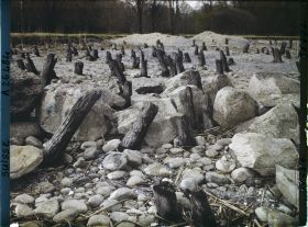 Image représentant Site palafittique préhistorique des Alpes, pieux en bois visibles lors de la baisse des eaux après la grande sécheresse de 1921