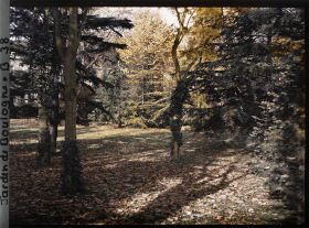 Image représentant La Grande Pelouse, vue en direction des 7, 8 et 10 quai du 4-Septembre