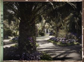 Image représentant L'Achilleion - Les Jardins