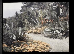 Image représentant Le Jardin
