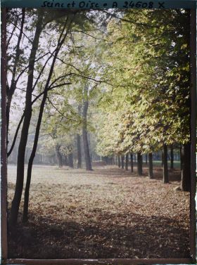 Image représentant Dans le parc