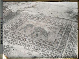 Image représentant Mosaïque de la maison au Desultor