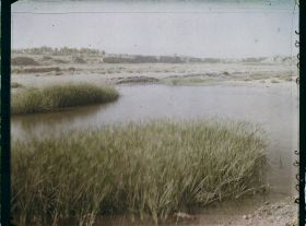 Image représentant Afghanistan, Kalat-i-Ghilzai, Rives du Tarnak