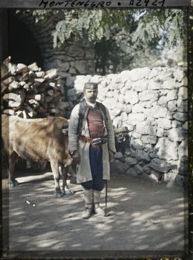 Image représentant Un monténégrin de Cetinje devant ses boeufs