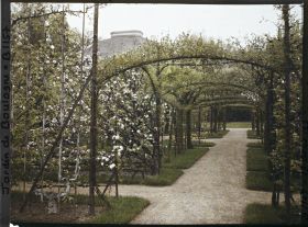 Image représentant Axe central du verger-roseraie vu à mi-parcours, en direction du jardin anglais