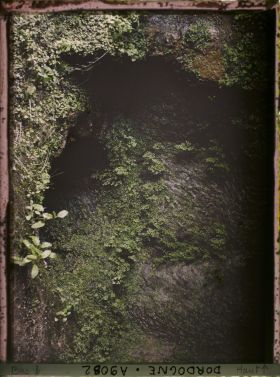 Image représentant France, Gorge d'Enfer ; une chambre à un niveau aquifère dans la falaise : végétation de Capillaires et d'algues