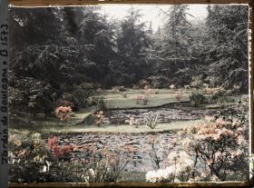 Image représentant Les étangs du marais