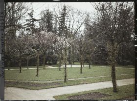 Image représentant Partie nord-ouest du verger-roseraie vue depuis le rond-point proche de la dépendance