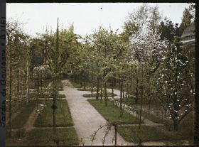 Image représentant Signes printaniers à l'est du verger-roseraie, au bord d'une allée menant à la forêt bleue