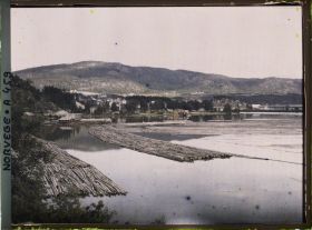 Image représentant Trains de bois flottant sur le lac Heddalsvanet