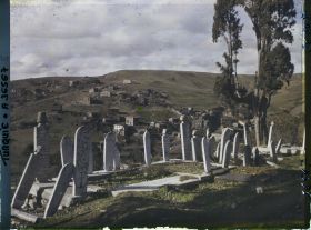 Image représentant Dalles et cippes funéraires du cimetière d'Eyüp et au fond, maisons