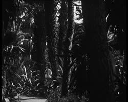 Image représentant Vues diverses de la propriété d'Albert Kahn