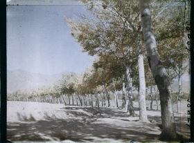 Image représentant Afghanistan, Kaboul, La route de Paghman Kaboul, autre aspect