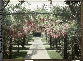 Image représentant Axe central du verger-roseraie vu à mi-parcours, en direction de la dépendance