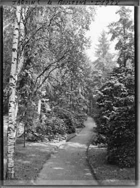Image représentant La forêt dorée