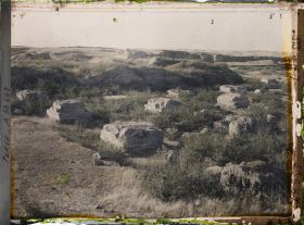 Image représentant Bases de colonnes carrées (ruines de l'Apadana ?)