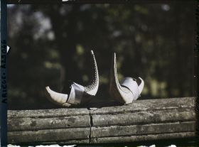 Image représentant Sabots bethmalais