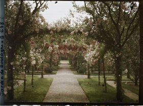 Image représentant Axe central du verger-roseraie vu en direction du jardin anglais, après le rond-point côté dépendance