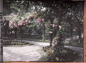 Image représentant Coin du verger-roseraie vu depuis le rond-point proche du jardin français, en direction du sud-ouest
