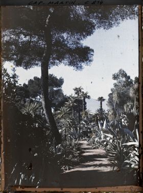 Image représentant Une allée du jardin