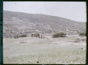 Image représentant Panorama vers l'ensemble des ruines de palais (derrière, le premier bouquet d'arbres, le théâtre), (direction sud-est)