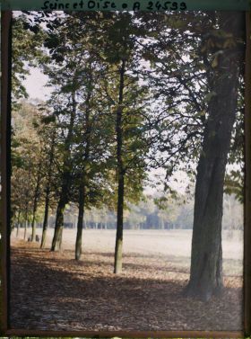 Image représentant Le parc