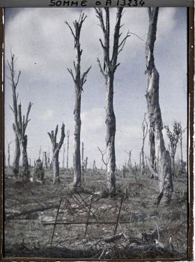 Image représentant France, Chaulnes, Un Coin du Château (Parc)