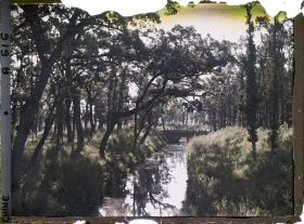 Image représentant Konglin, la nécropole de la famille de Confucius