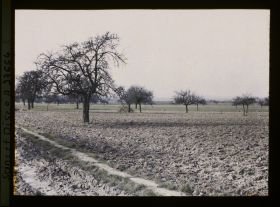 Image représentant France, Les Clayes, Champs et Pommiers