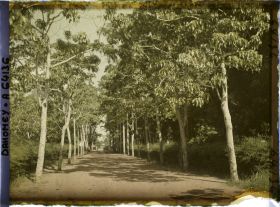 Image représentant Avenue de l'hôpital