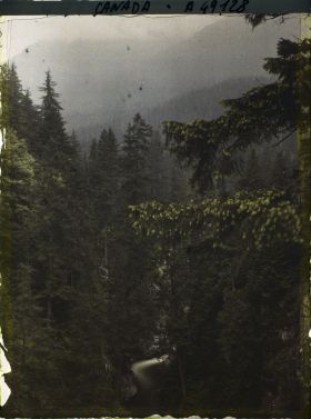 Image représentant Canada, Vancouver, Capilano Canyon- Autre Paysage sous la pluie au 2e Canyon