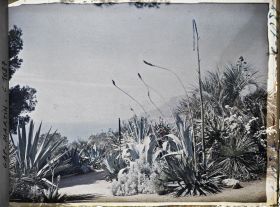 Image représentant le Jardin